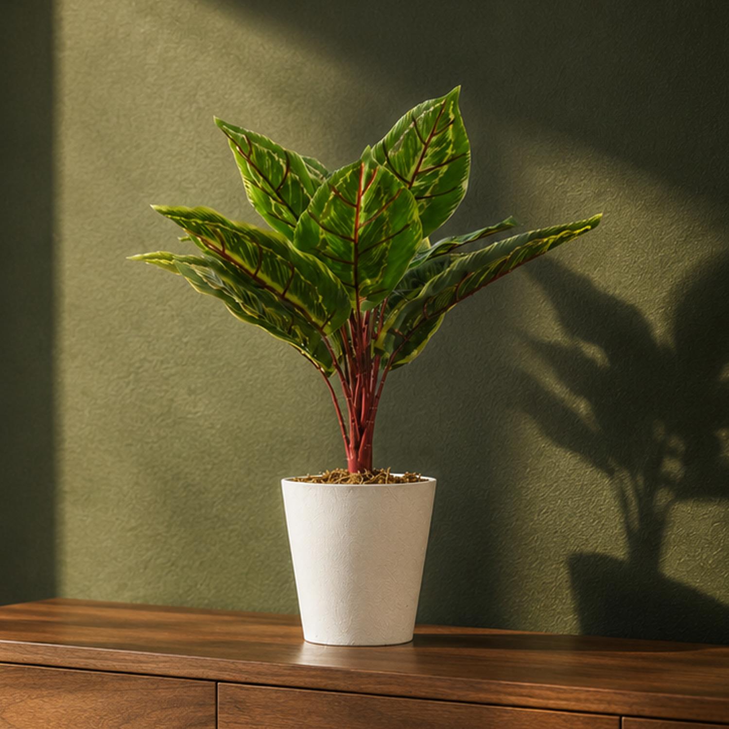 38cm Potted Artificial Calathea Veitchiane - Premium Quality
