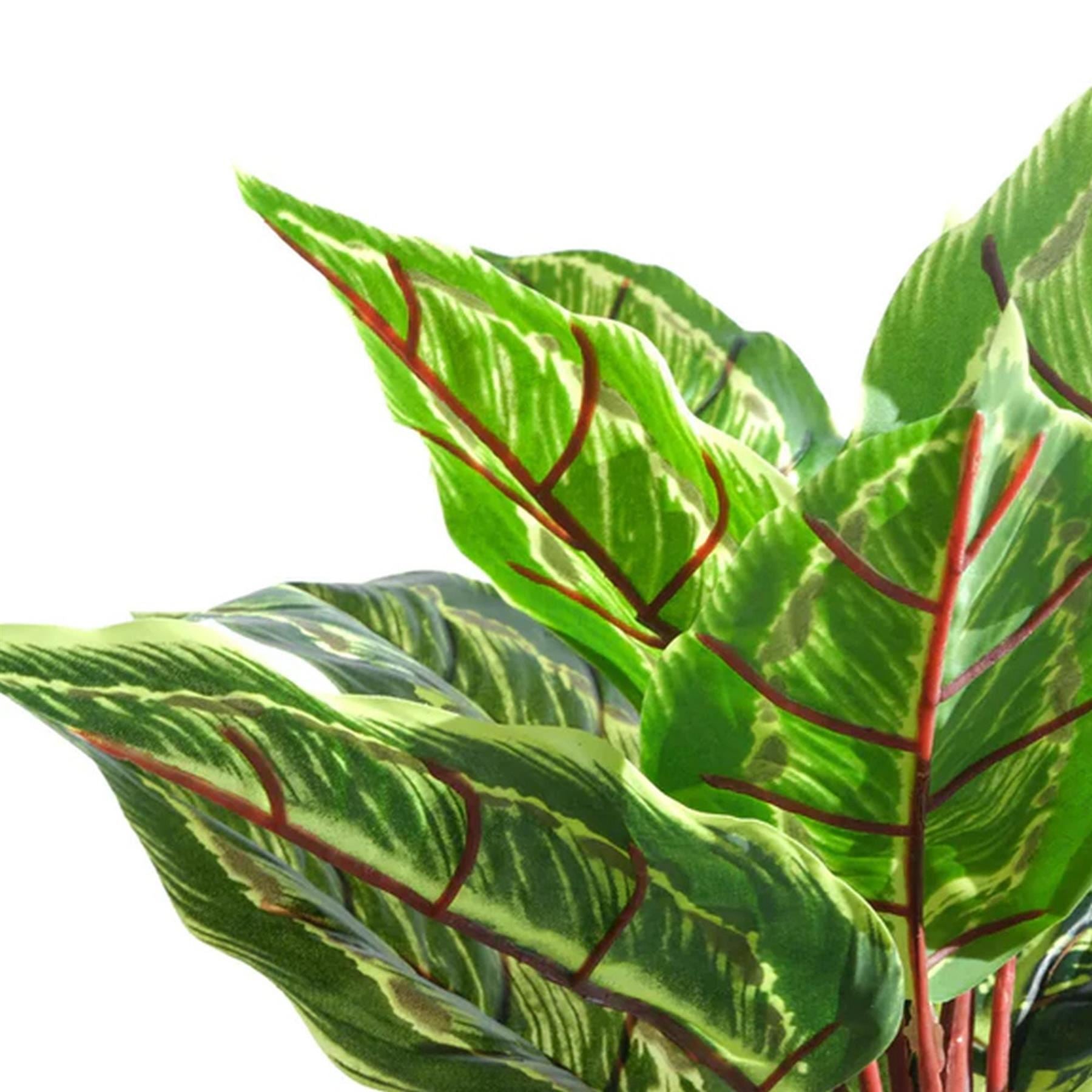38cm Potted Artificial Calathea Veitchiane - Premium Quality
