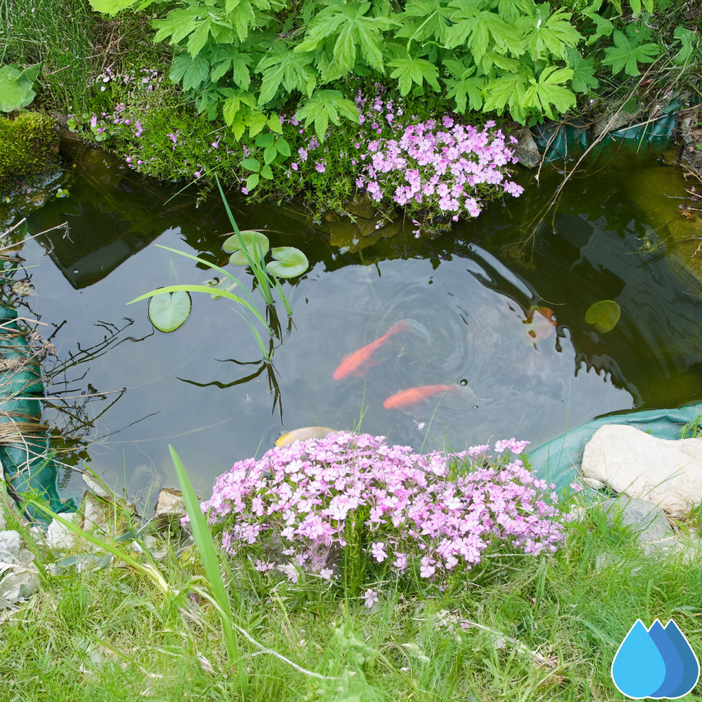 4m x 6m Black Pond Liner, L-Grade 200 GSM